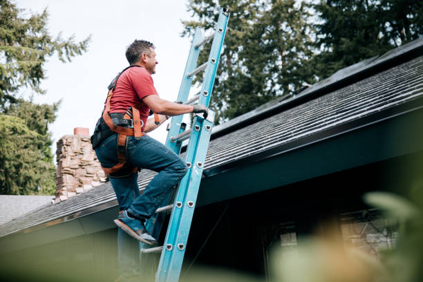 Best Roof Moss and Algae Removal  in Verde Village, AZ